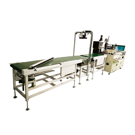 Automatic bagging logistics sorting line